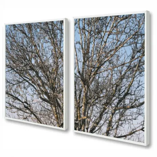 Kit 2 Quadros Decorativos Galhos Secos Para Sala Com Moldura