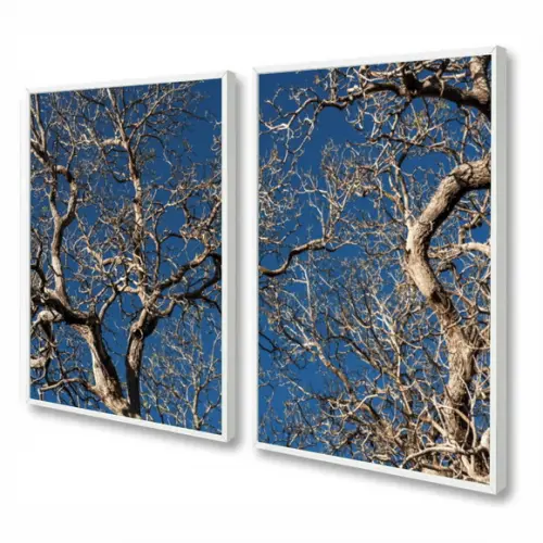 Kit 2 Quadros Decorativos Modernos Galhos Arvore Com Moldura