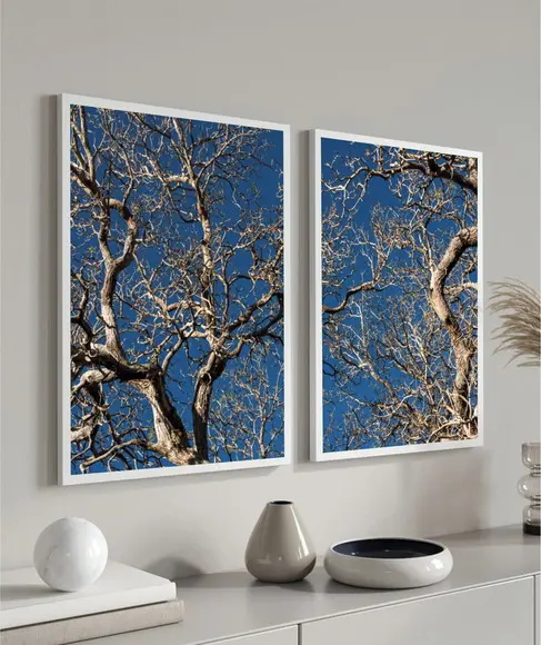Kit 2 Quadros Decorativos Modernos Galhos Arvore Com Moldura