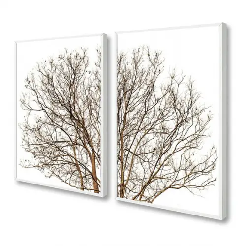 Kit 2 Quadros Decorativos Modernos Galhos Secos Moldura