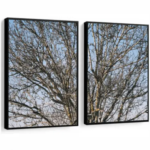 Kit 2 Quadros Decorativos Modernos Paisagem Galhos Moldura