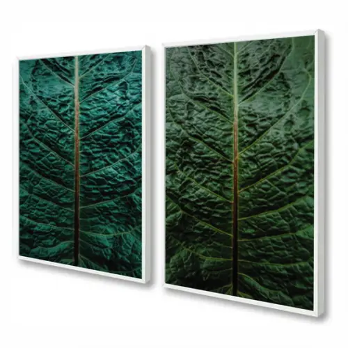 Kit 2 Quadros Decorativos Para Sala Folhagem Verde Moldura