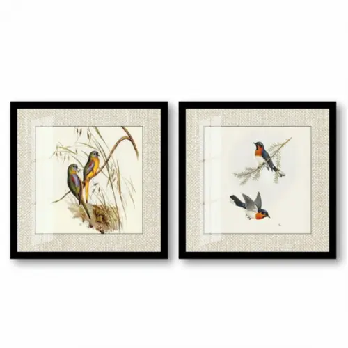 Kit 2 Quadros Decorativos Pássaros Modernos Moldura e Vidro