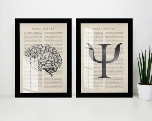 Kit 2 Quadros Decorativos Psicologia Cérebro Moldura e Vidro