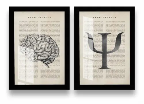 Kit 2 Quadros Decorativos Psicologia Cérebro Moldura e Vidro