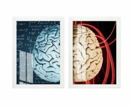 Kit 2 Quadros Decorativos Psicologia Cérebro Moldura e Vidro