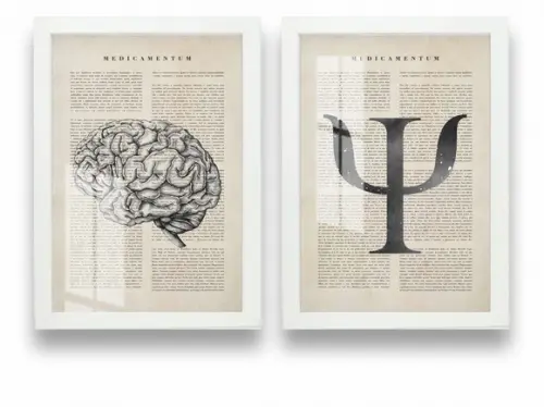 Kit 2 Quadros Decorativos Psicologia Medicina Moldura Vidro