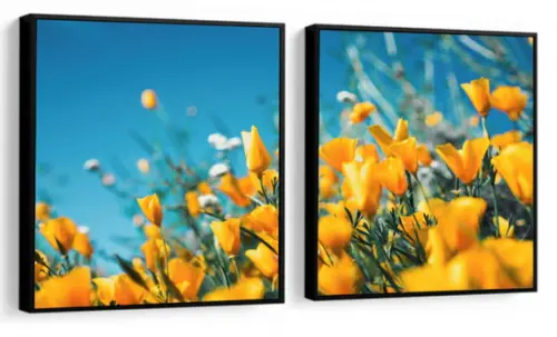 Kit 2 Quadros Decorativos Tulipa Amarela Para Sala Moldura