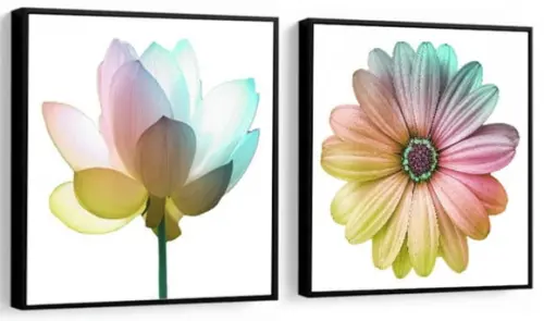 Kit 2 Quadros Flores Coloridas Decoração Conjunto Molduras
