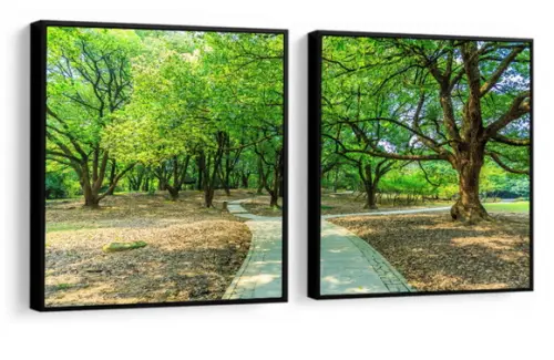 Kit 2 Quadros Florestas Arvore Verde Decoração Com Molduras