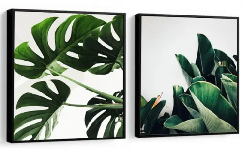 Kit 2 Quadros Folhagem Costela De Adão Decoração Com Moldura
