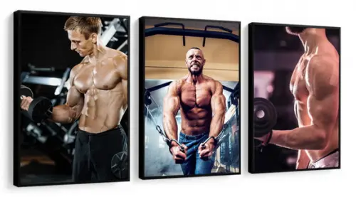 Kit 3 Quadros Academia Musculação Fitness Decoração Moldura