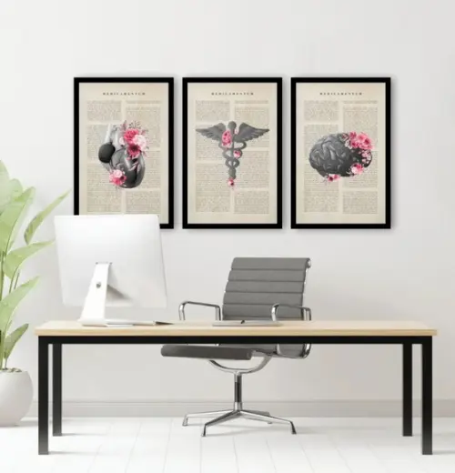 Kit 3 Quadros Anatomia Consultório Medico Decoração Molduras