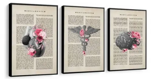 Kit 3 Quadros Anatomia Consultório Medico Decoração Molduras