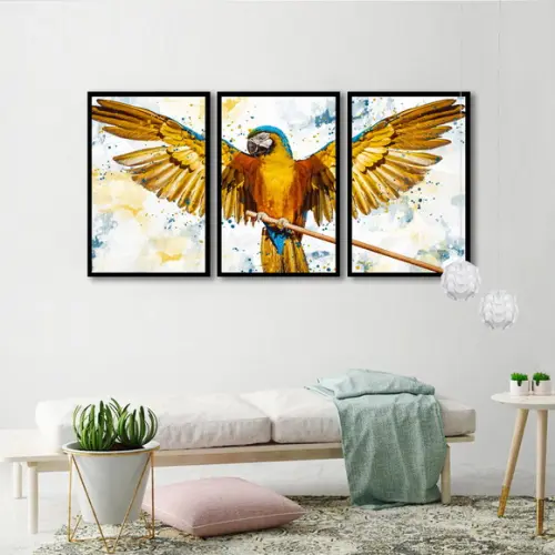 Kit 3 Quadros Animais Arara Conjunto Decoração Com Moldura