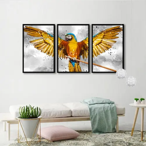 Kit 3 Quadros Animais Arara Conjunto Decoração Com Molduras