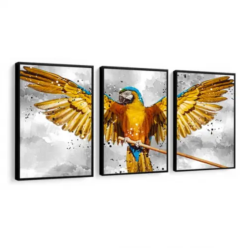 Kit 3 Quadros Animais Arara Conjunto Decoração Com Molduras