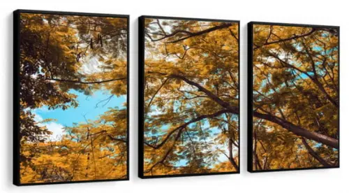 Kit 3 Quadros Arvore Amarela Folhagem Decoração Com Molduras