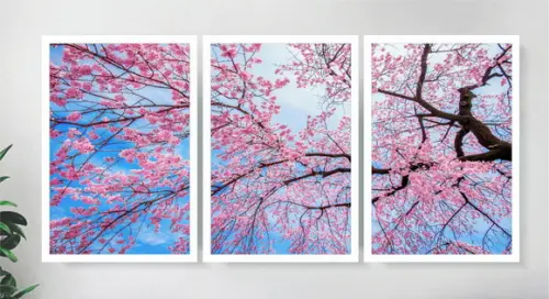Kit 3 Quadros Arvore Flor Cerejeira Galho Decoração Moldura