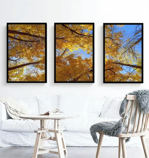 Kit 3 Quadros Arvore Florestas Amarela Céu Decoração Moldura