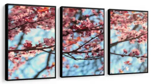 Kit 3 Quadros Arvore Galhos Decoração Flor Cerejeira Moldura