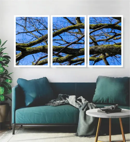Kit 3 Quadros Arvore Galhos Paisagem Azul Decoração Molduras