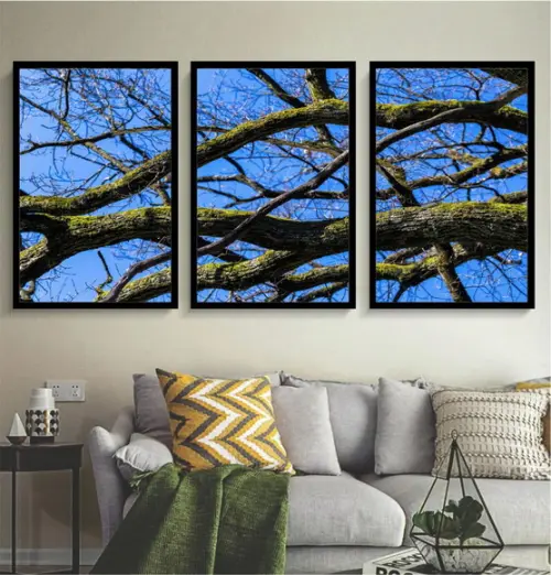 Kit 3 Quadros Arvore Galhos Paisagem Decoração Com Molduras