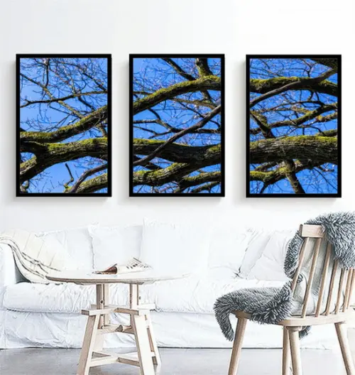 Kit 3 Quadros Arvore Galhos Paisagem Decoração Com Molduras