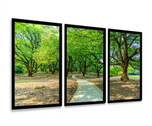 Kit 3 Quadros Arvores Florestas Natureza Decoração Molduras