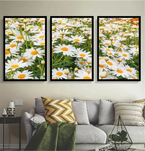 Kit 3 Quadros De Flores Brancas Margaridas Decoração Moldura
