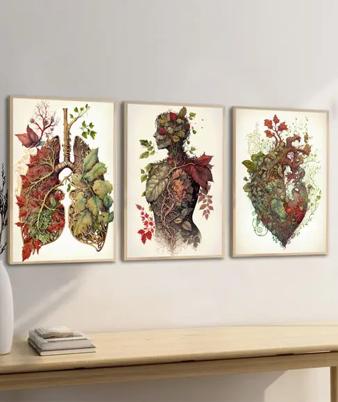 Kit 3 Quadros Decorativos Anatomia Humana Medicina Moldura