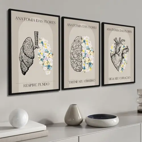Kit 3 Quadros Decorativos Anatomia Medicina para Consultório