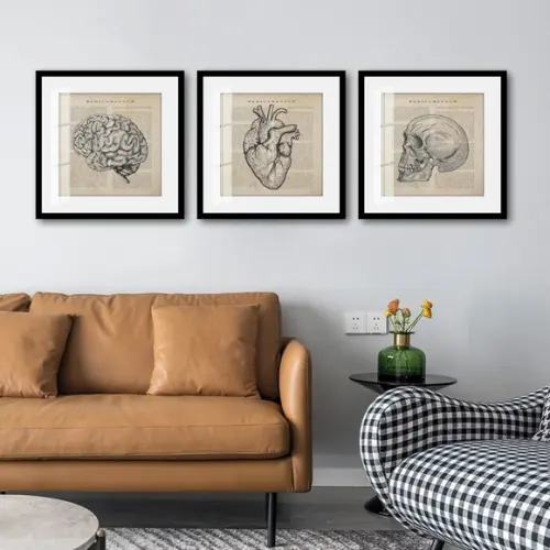Kit 3 Quadros Decorativos Anatomia Medicina Moldura e Vidro