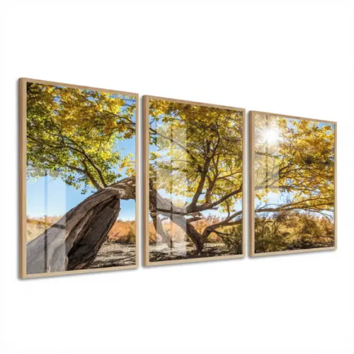 Kit 3 Quadros Decorativos Arvore Amarela com Moldura e Vidro
