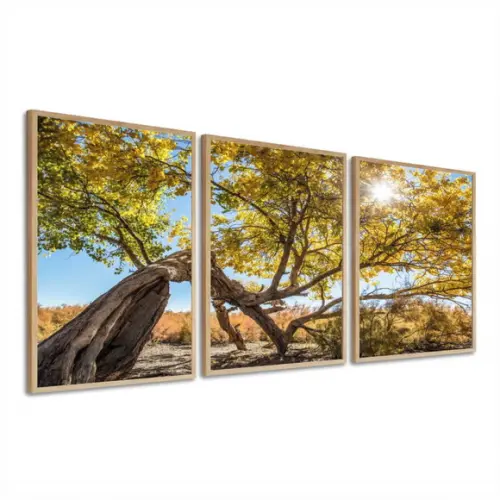 Kit 3 Quadros Decorativos Arvore Amarela Paisagem Moldura