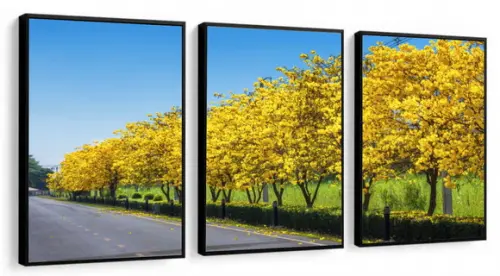 Kit 3 Quadros Decorativos Arvore Amarela Moderno Com Moldura