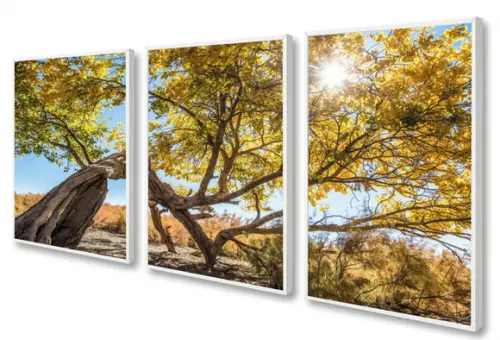 Kit 3 Quadros Decorativos Arvore Amarela Paisagem Moldura