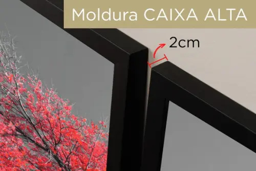 Kit 3 Quadros Decorativos Arvore Da Vida Vermelha Molduras