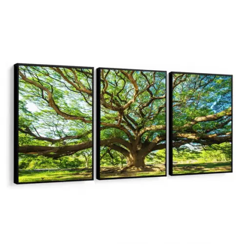 Kit 3 Quadros Decorativos Arvore Floresta Verde com Moldura