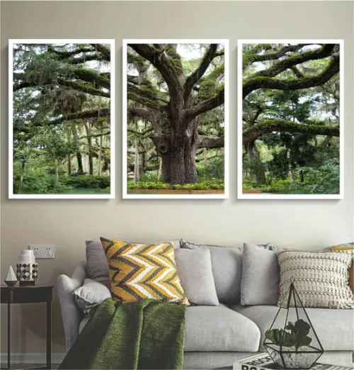 Kit 3 Quadros Decorativos Arvore Folhagem Paisagem Moldura