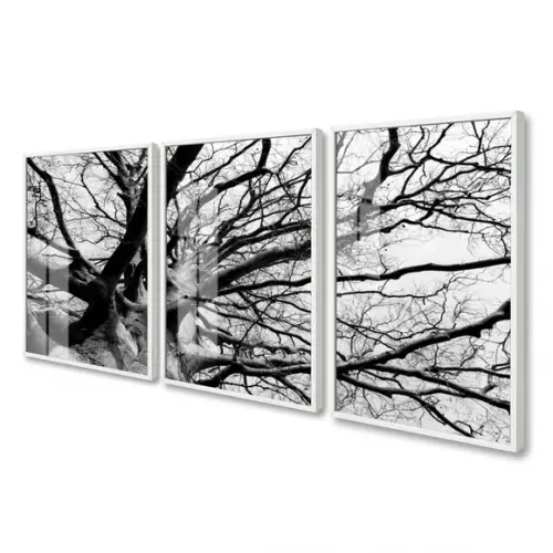 Kit 3 Quadros Decorativos Arvore Galhos com Moldura e Vidro