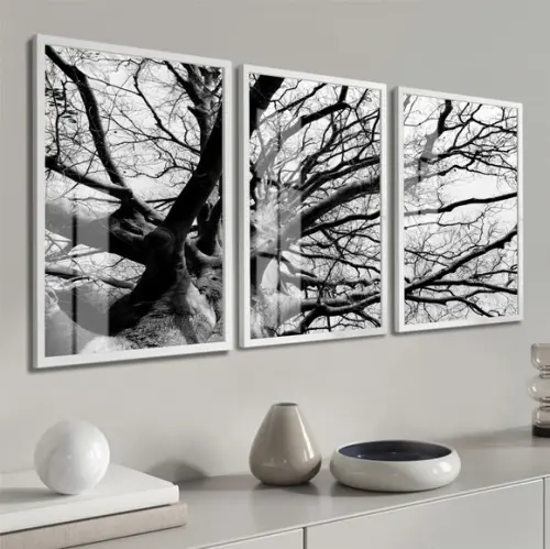Kit 3 Quadros Decorativos Arvore Galhos com Moldura e Vidro