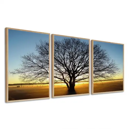 Kit 3 Quadros Decorativos Arvore Galhos Paisagem com Moldura