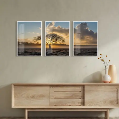 Kit 3 Quadros Decorativos Arvore Paisagem Com Moldura Vidro