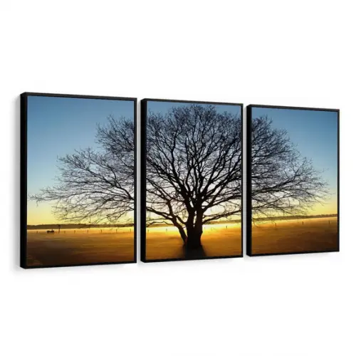 Kit 3 Quadros Decorativos Arvore Paisagem Galhos com Moldura
