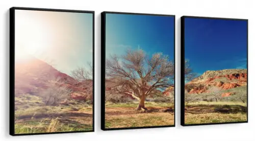 Kit 3 Quadros Decorativos Arvore Paisagem Para Sala Moldura