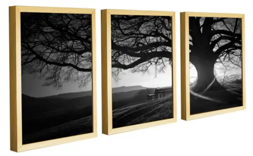 Kit 3 Quadros Decorativos Arvore Preto e Branco Com Moldura