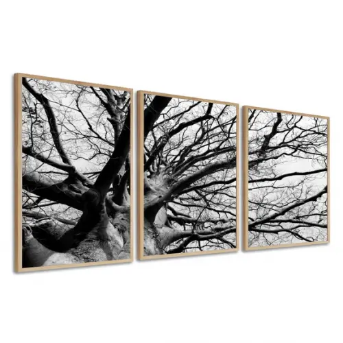 Kit 3 Quadros Decorativos Arvore Preto E Branco Com Moldura