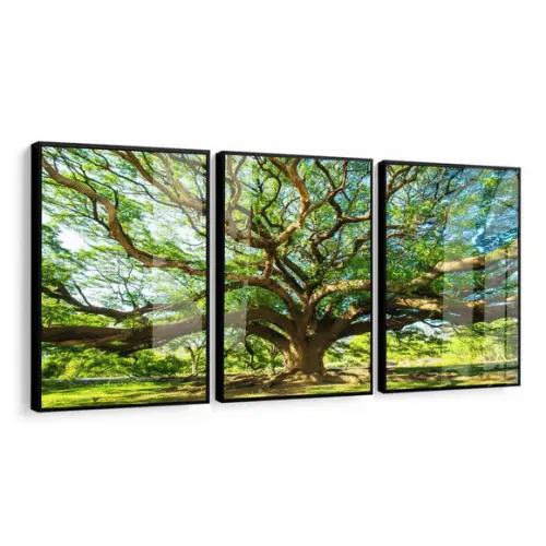 Kit 3 Quadros Decorativos Arvore Verde com Moldura e Vidro