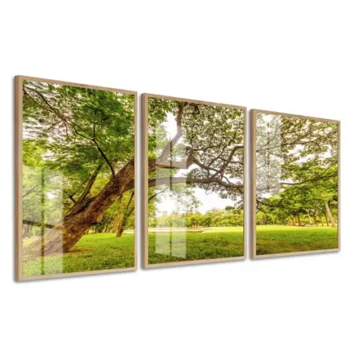 Kit 3 Quadros Decorativos Arvore Verde Com Moldura E Vidro